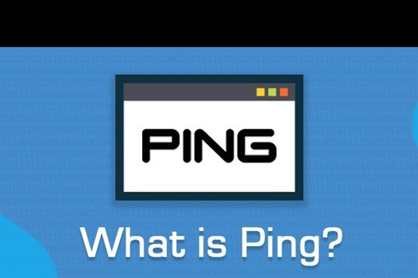 Minh họa kiểm tra ping mạng